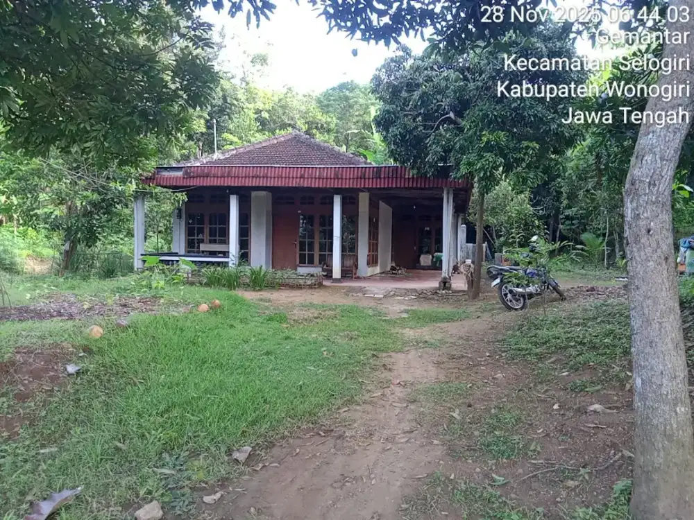 Dijual Rumah View Pemandangan Sawah Indah.