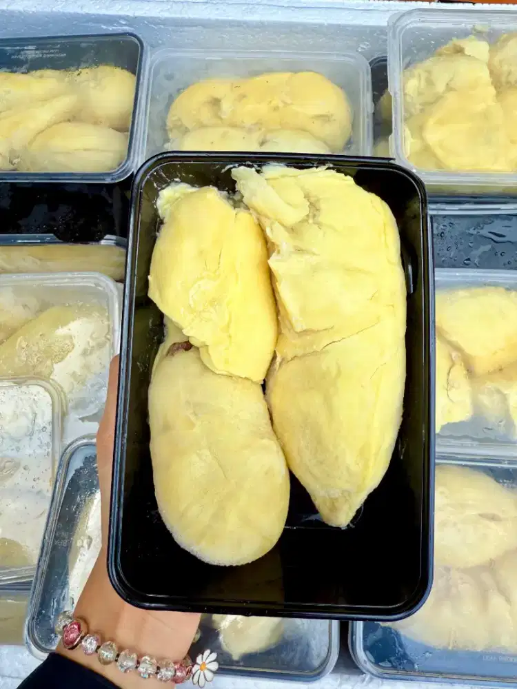 Durian Montong Bali, durian sumatra dan  durian lokal
