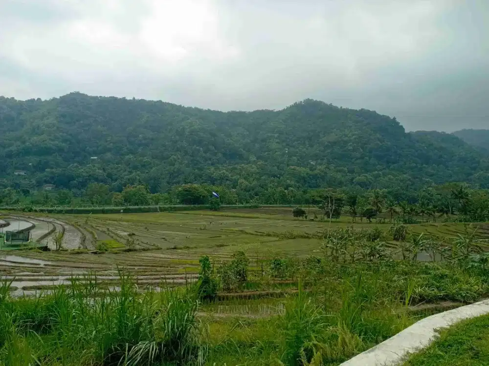 Tanah Murah view indah di Girimulyo kulon Progo