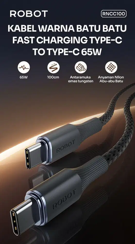 Kabel Data RNCC 100