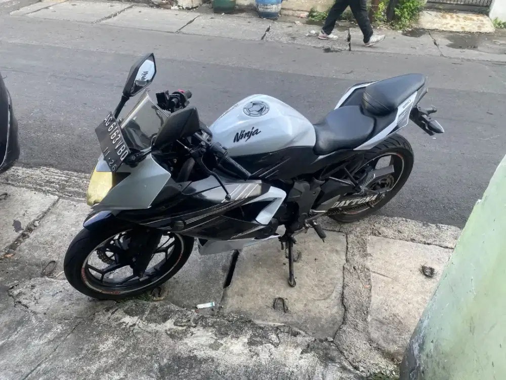 Kawasaki Ninja rr mono 2015