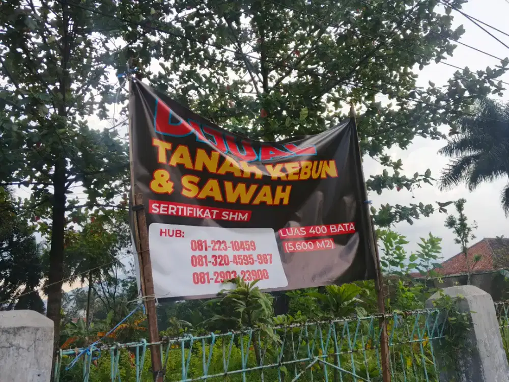 Dijual Tanah kebun&Sawah 5600M² ciawi ,kec Ciawi Kab Tasikmalaya