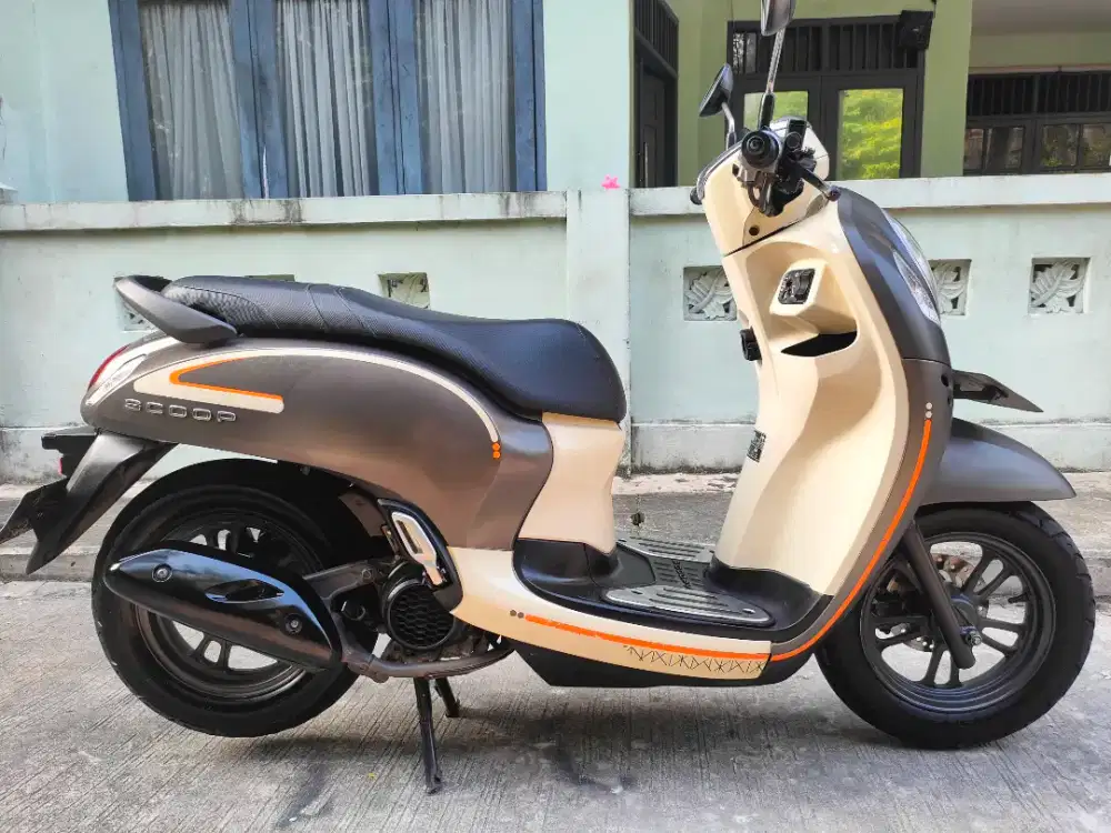 Scoopy fashion 2023