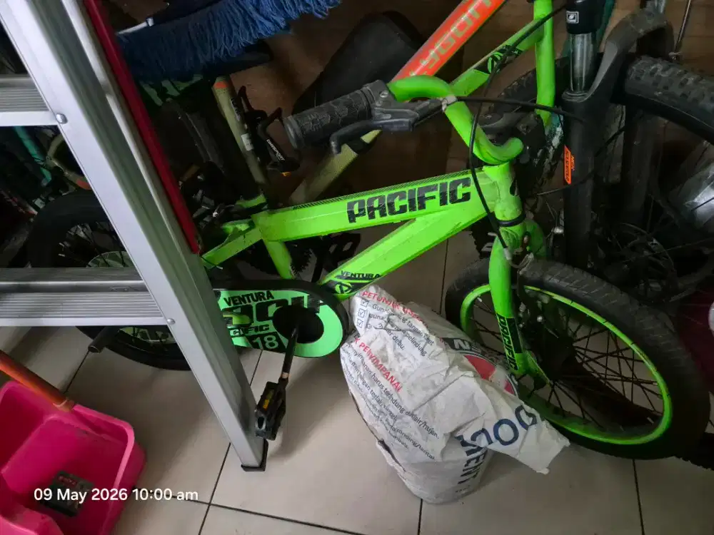Sepeda anak pacific