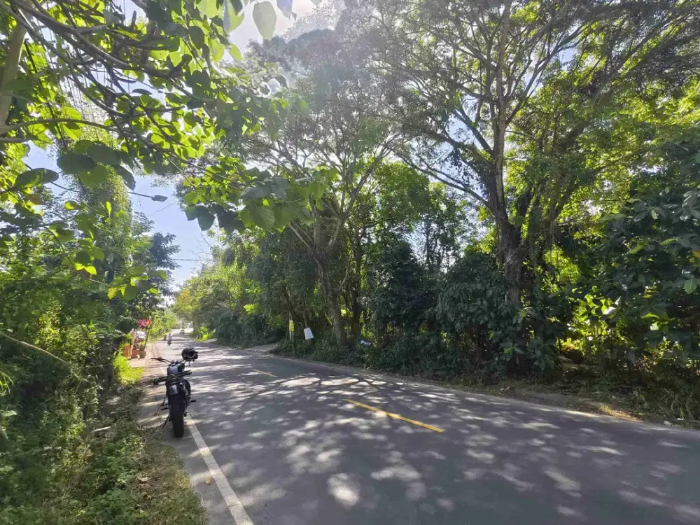 Tanah Komersial Main Road Uluwatu Dekat Pantai Nyang Nyang - Thumbnail 2