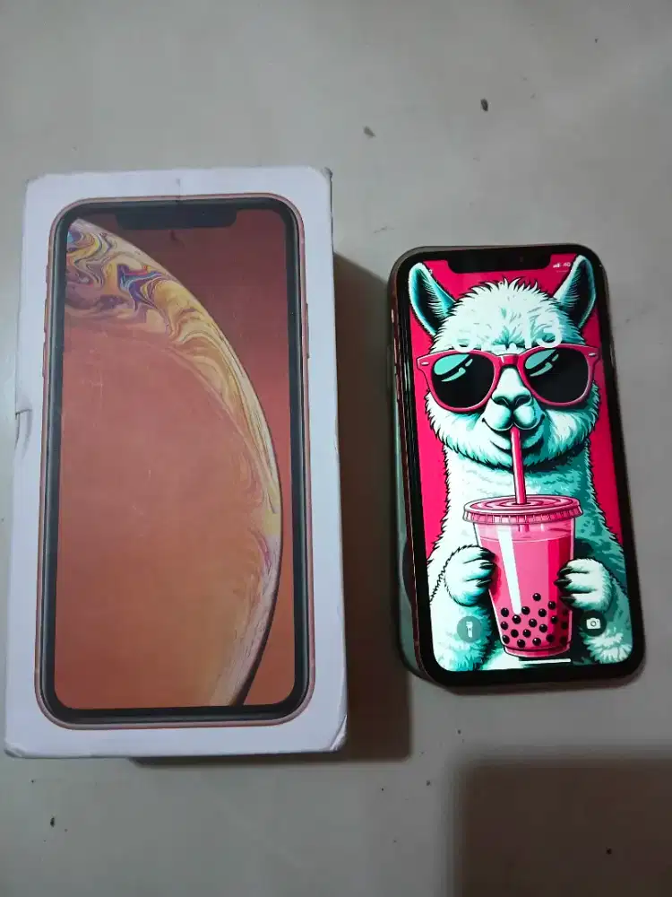 iPhone XR 128Gb Ex inter