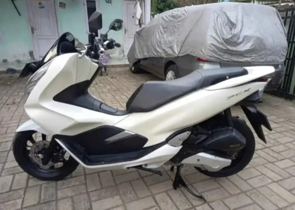 PCX warna putih