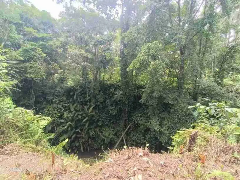 Land with river and jungle views in Kenderan close Ubud Bali