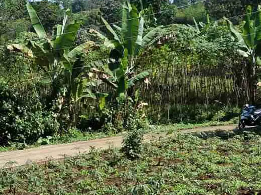 lahan tanah kosong di pasir angin bogor