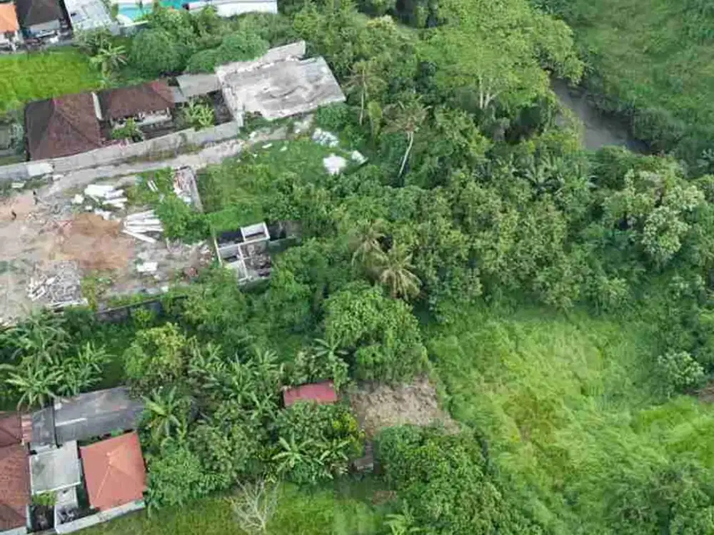 Tanah View Sungai dan Jungle di Lodtunduh Ubud Bali