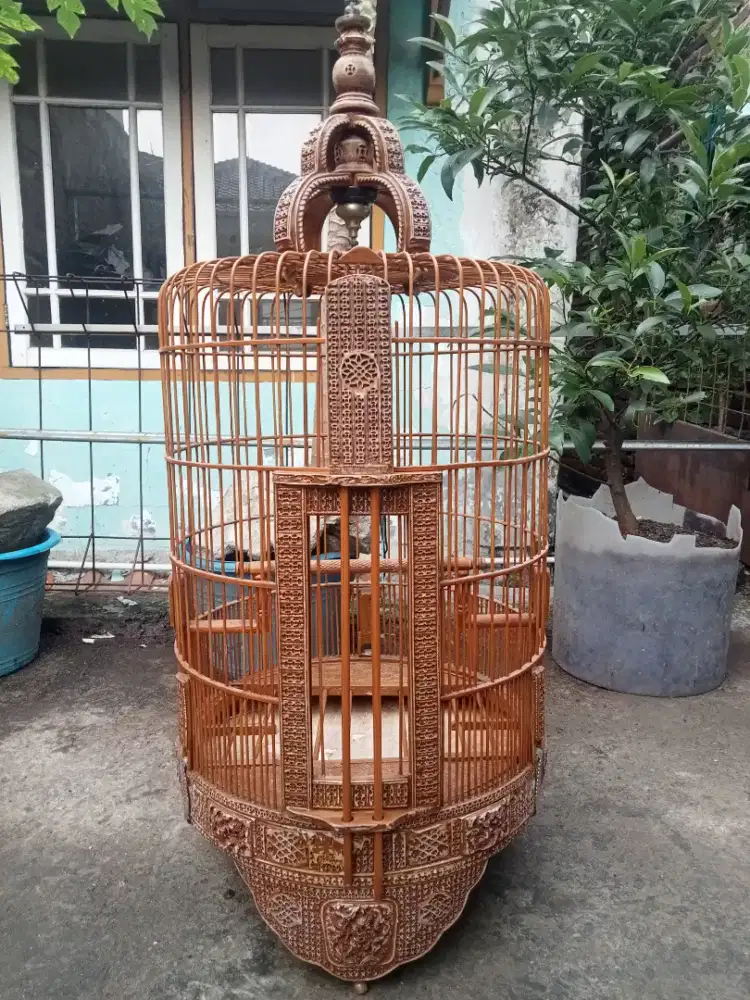 Sangkar Anis merah lama