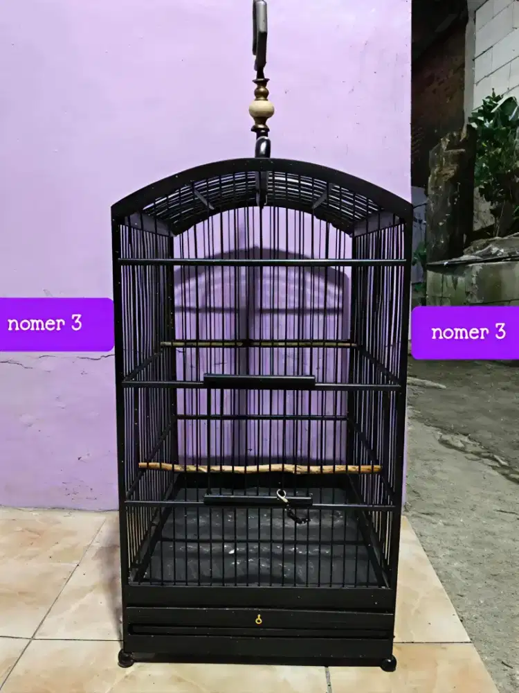 Kandang nomer 3
