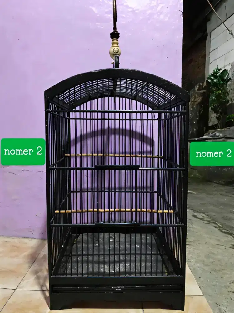 Kandang nomer 2