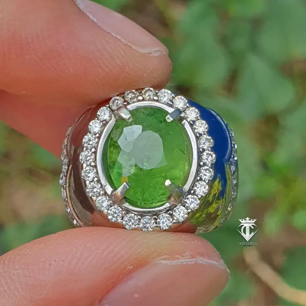 Batu Permata Natural Tsavorite Garnet Tanzania 4.73 Ct NTE CGL Memo