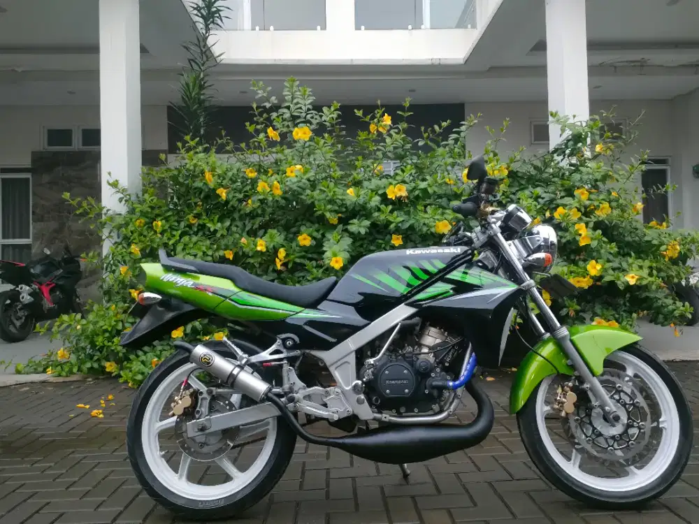Ninja Ss 2014 Hijau Zebra