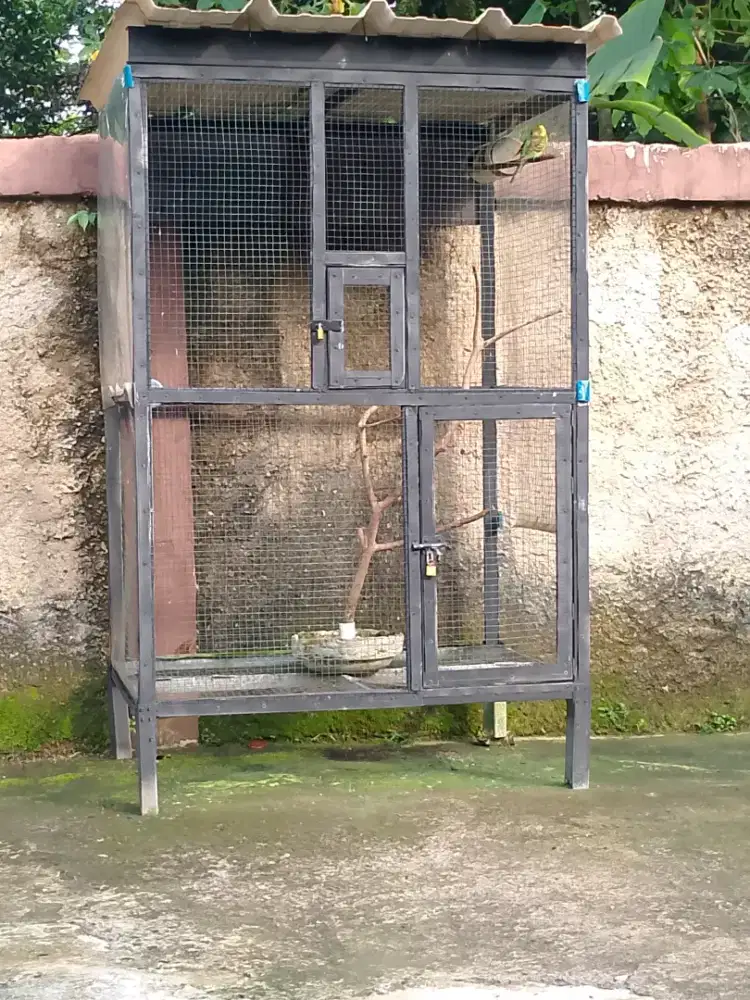sangkar burung aviary
