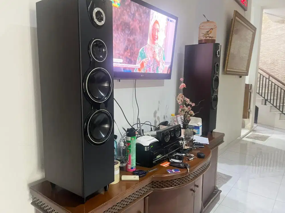 Home theatre polytron