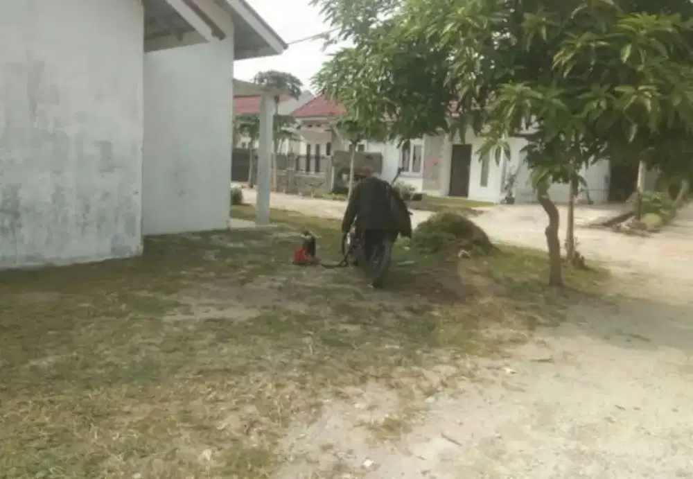 Potong rumput Pekanbaru panam sekitar