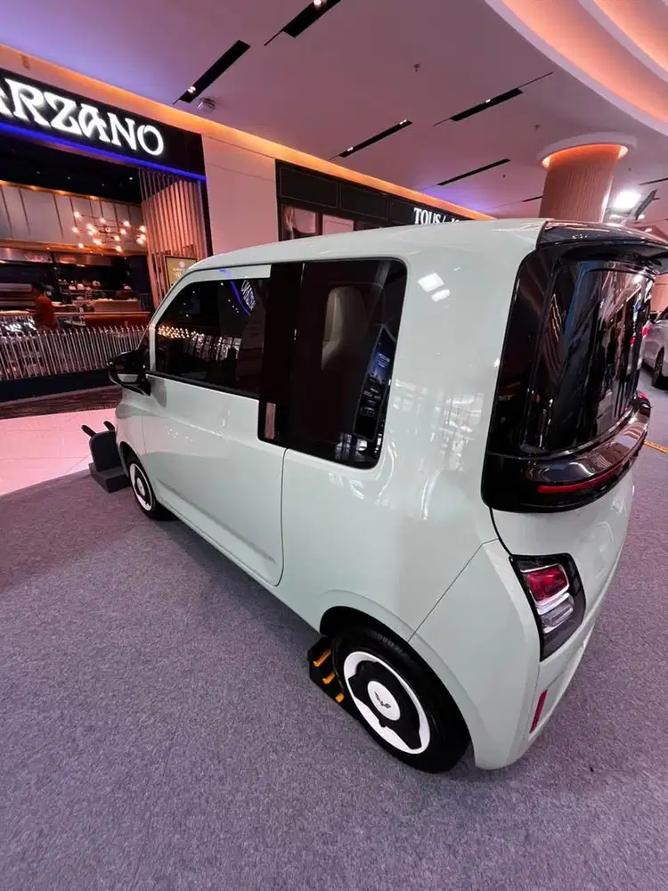 AIR EV LITE 300