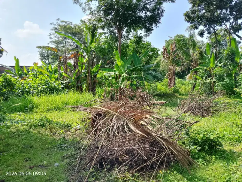 Dijual Tanah Strategis Dekat RSUD Tahunan Jepara