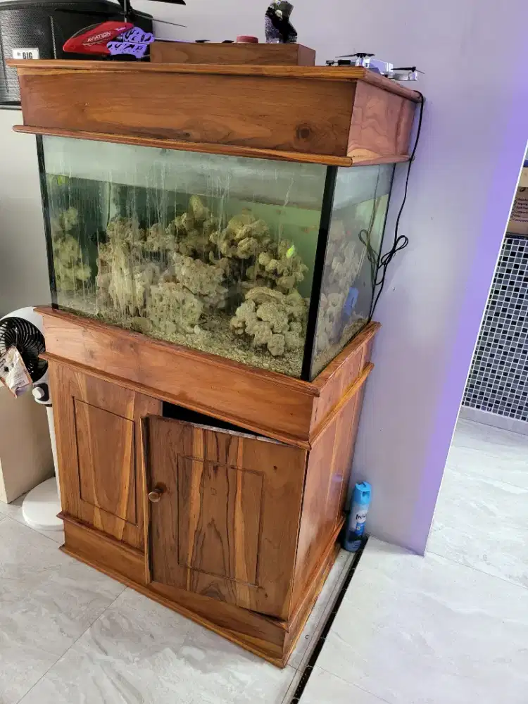 AQuarium Arwana dan Air Laut