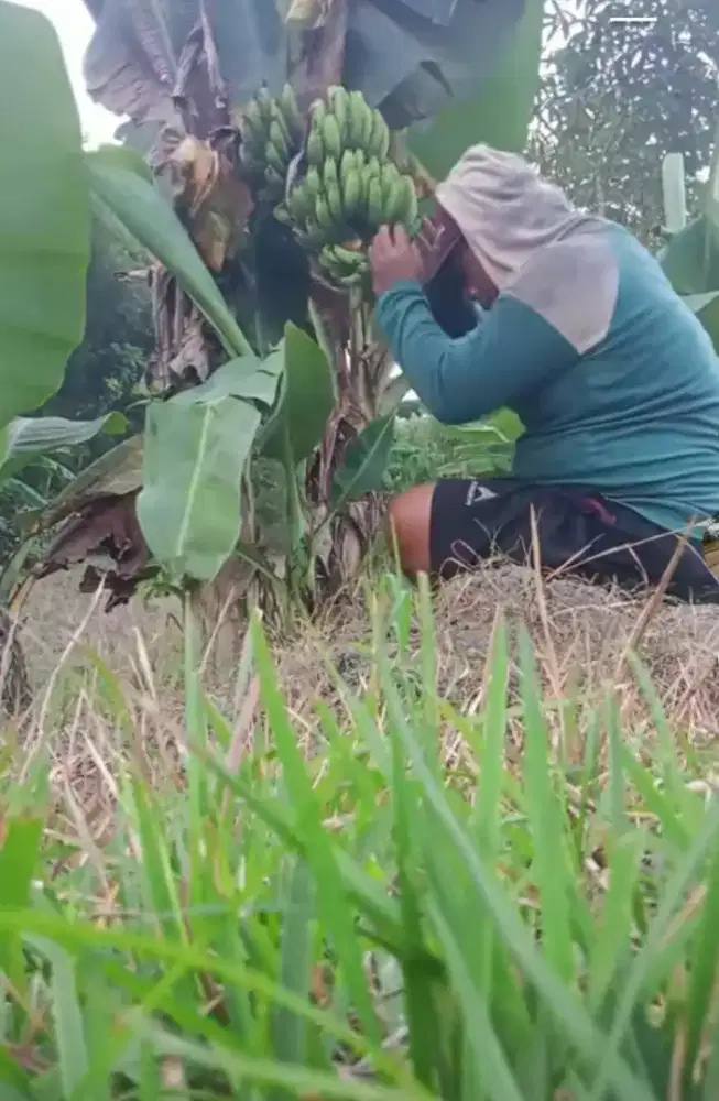 Saya Cari kerjaan