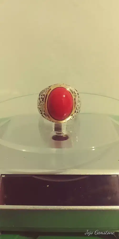 Batu Marjan Laut Merah