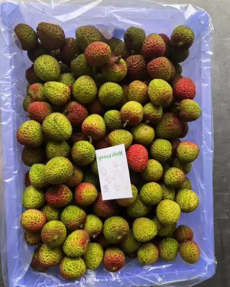 Leci Madu 1kg Malang Kota