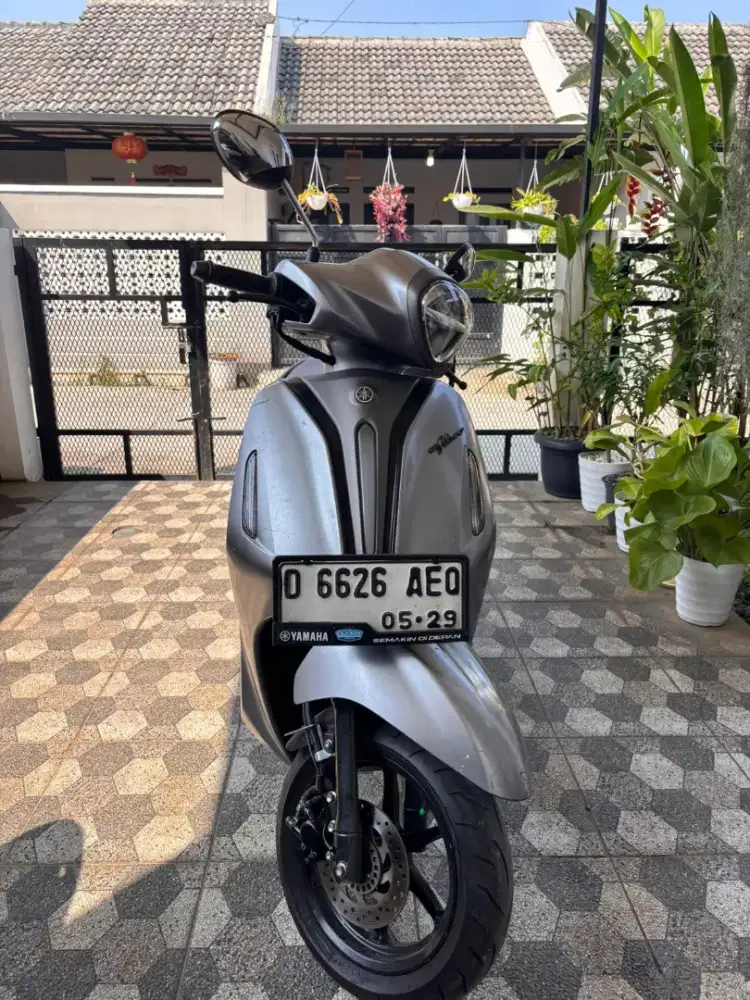 Motor grand filano