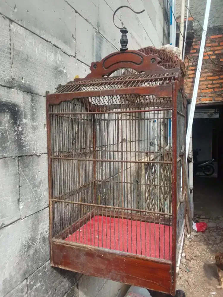 Pny kndng no 1 Mash lyk pakai mines tatakan sm bwah kg ad jual apa ad
