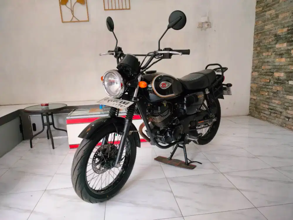 Kawasaki W 175 SE
