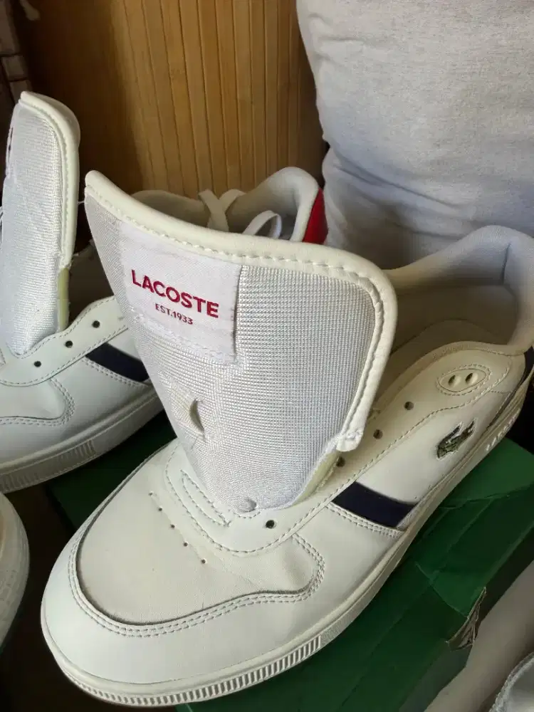 Sepatu Lacoste New