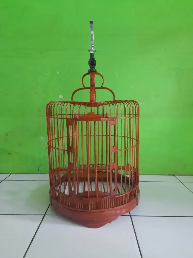 Sangkar bulet buat wambi anos