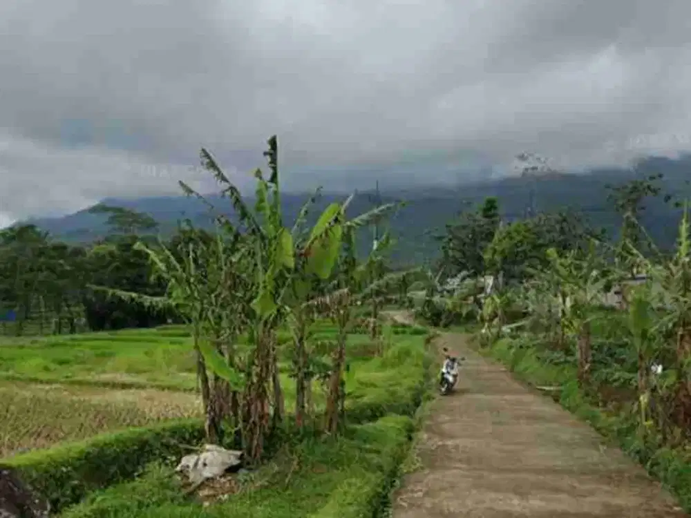 Jual tanah cilimus
