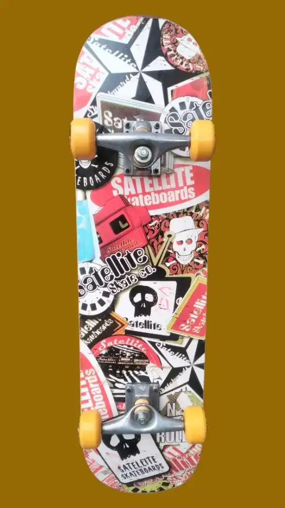Skateboard/ skateboard