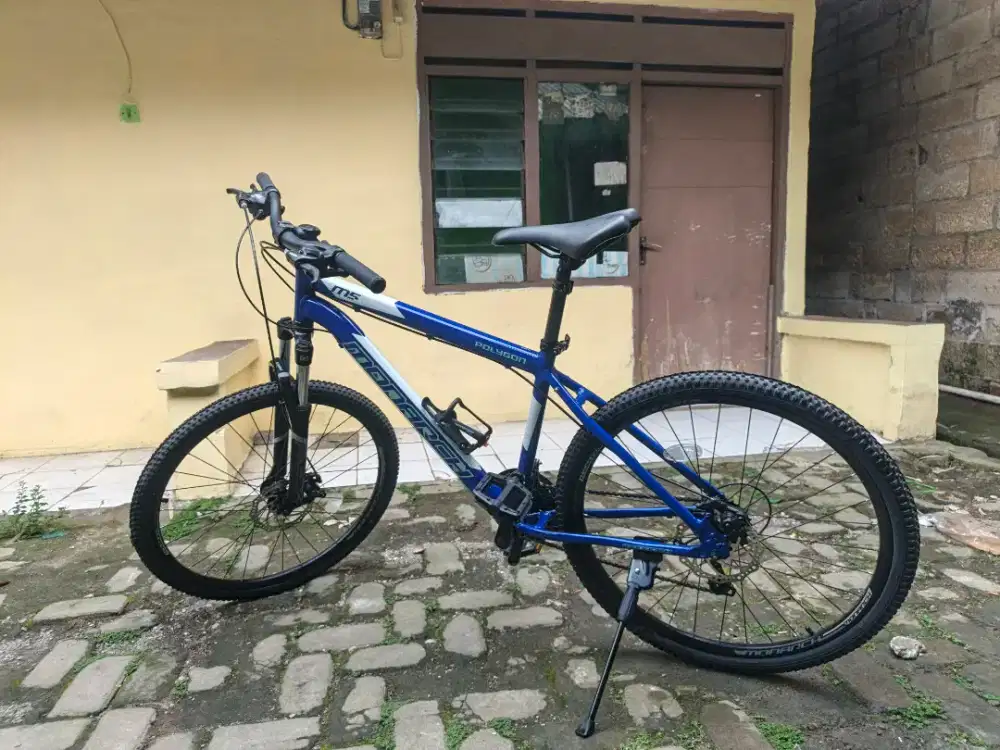 polygon Monarch m5