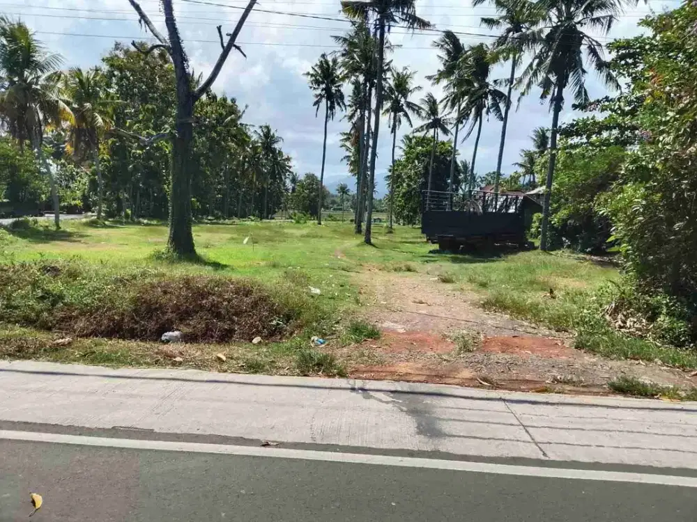 TANAH HOOK JALAN UTAMA 80 ARE, TEGAL BADENG TIMUR JEMBRANA