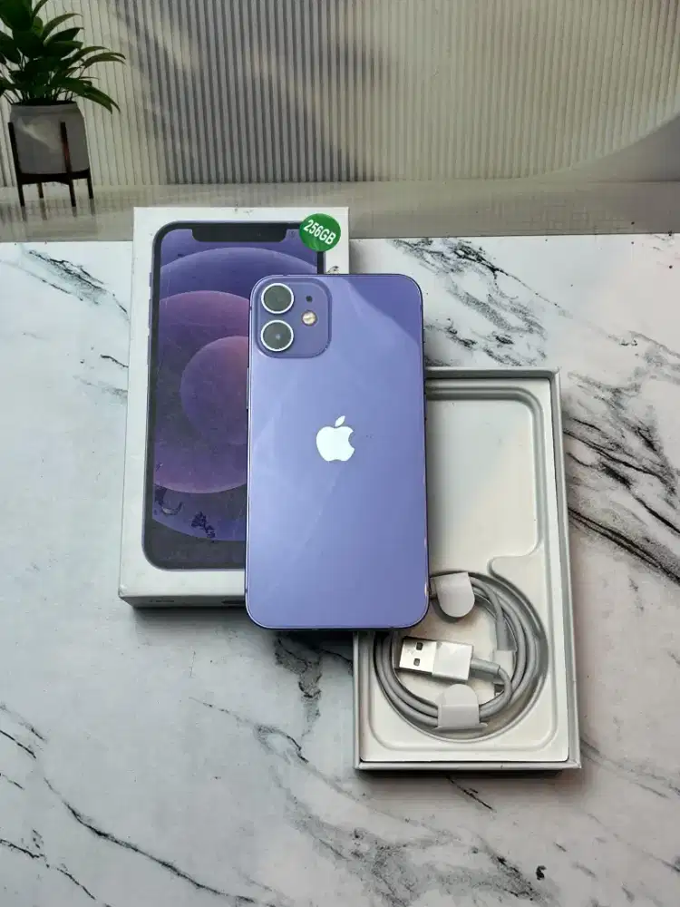 Iphone 12 mini purple