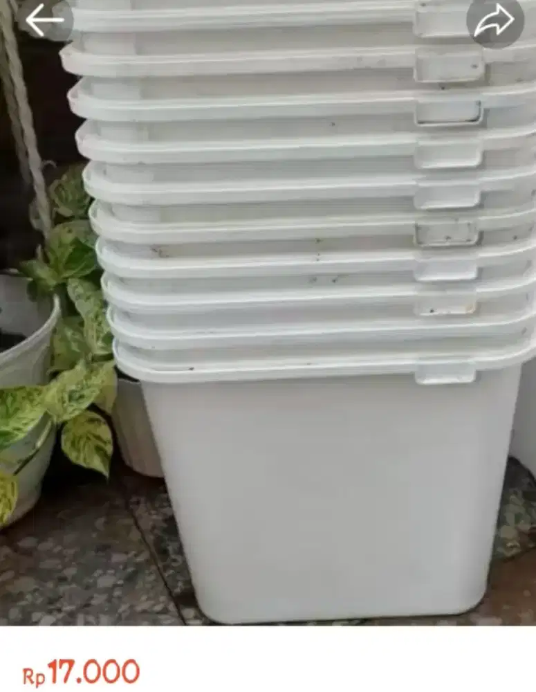 Box bekas es krim 8Liter