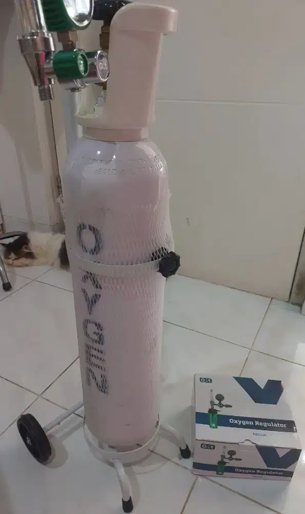 Oxygen portable & regulator