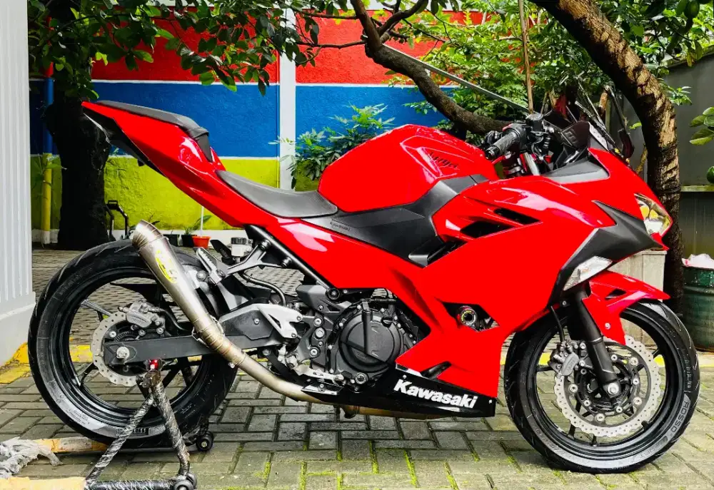 Kawasaki new ninja 250 fi