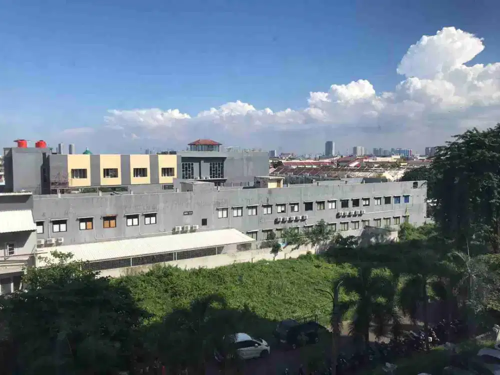 apt palm mansion