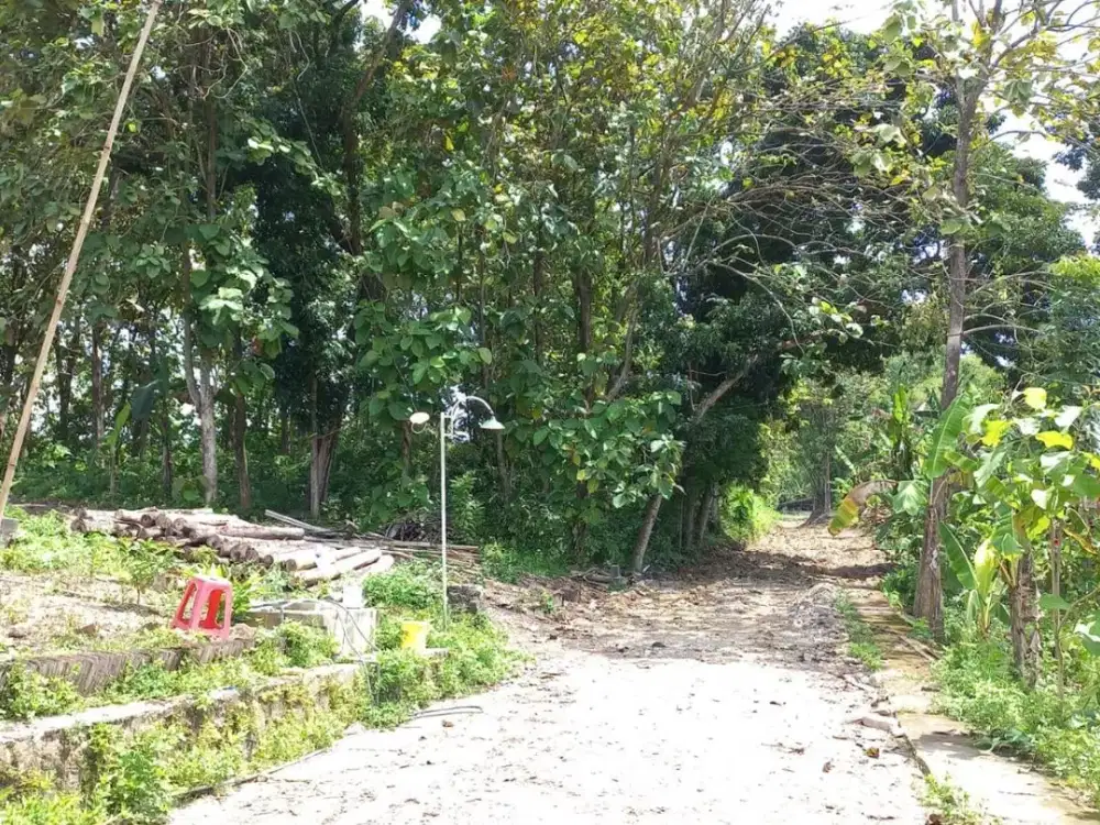Tanah daerah Tembalang Semarang - 11411