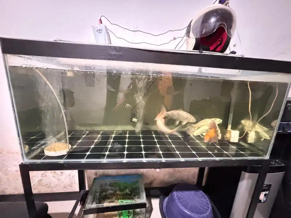Aquascape ukuran 120x50 kaca 5 mili