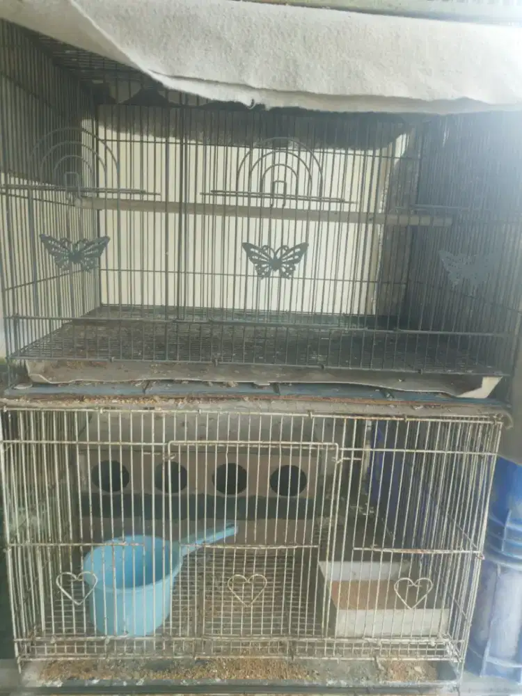 kandang burung dan rumah burung