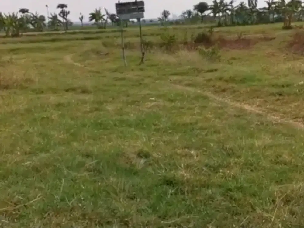 2073. Jual Tanah strategis di Nol Jalan Raya Provinsi Tuban