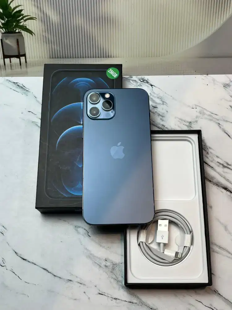 Iphone 12 promax blue