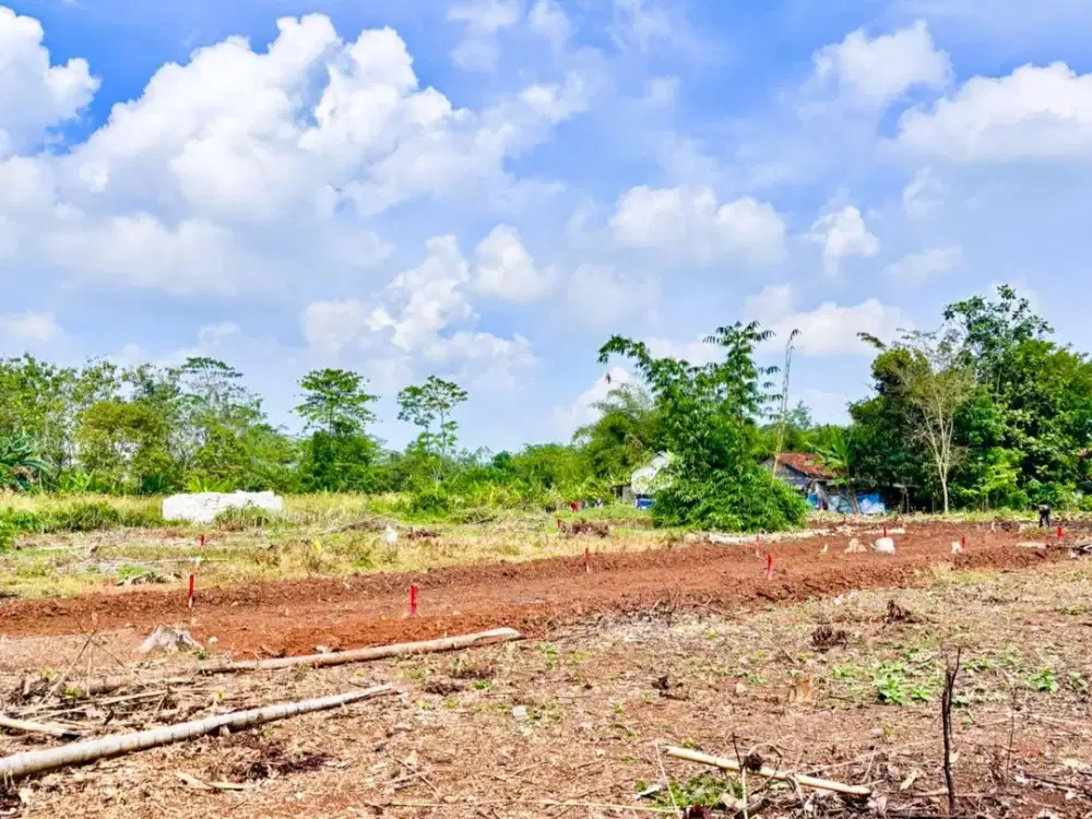 Tanah Murah Cisauk Dekat Stasiun Jatake,BSD
