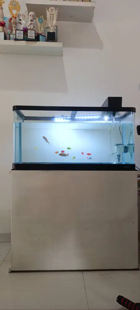 Dijual Aquarium