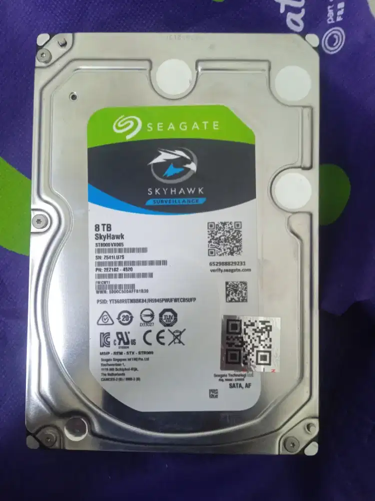 Hardisk 8TB seagate skyhawk